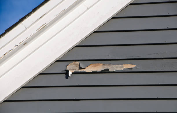 Affordable siding repair and maintenance services in Poway, CA